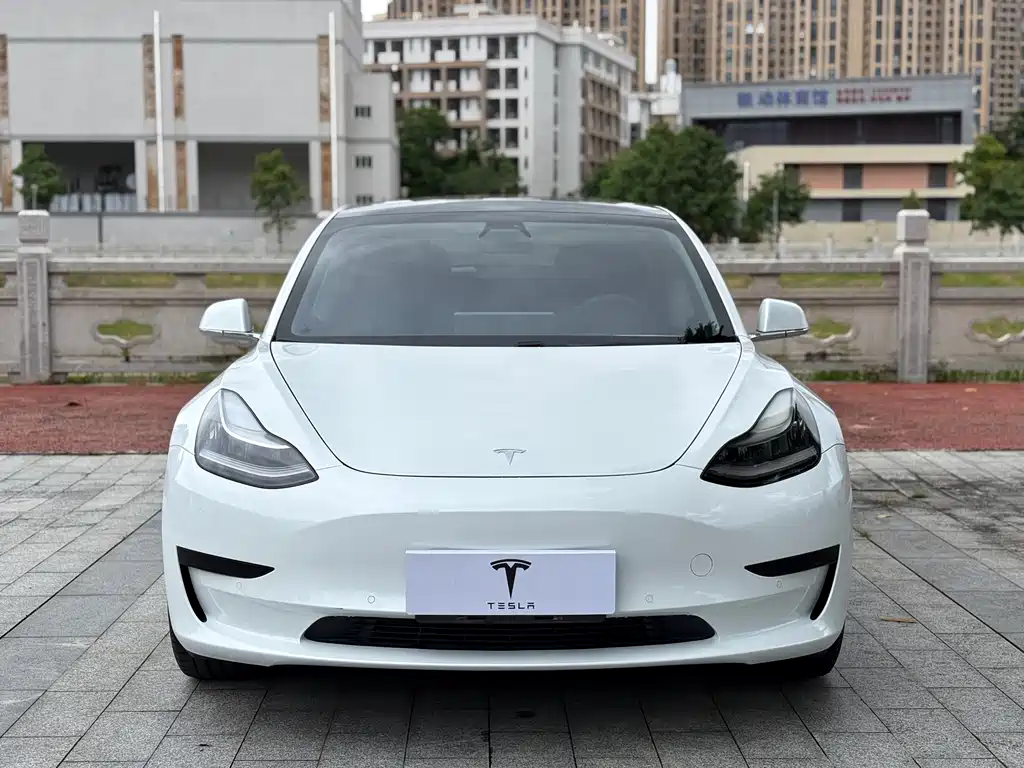 Model 3 2019 standard range rear drive upgraded version купить на сайте DeffCars