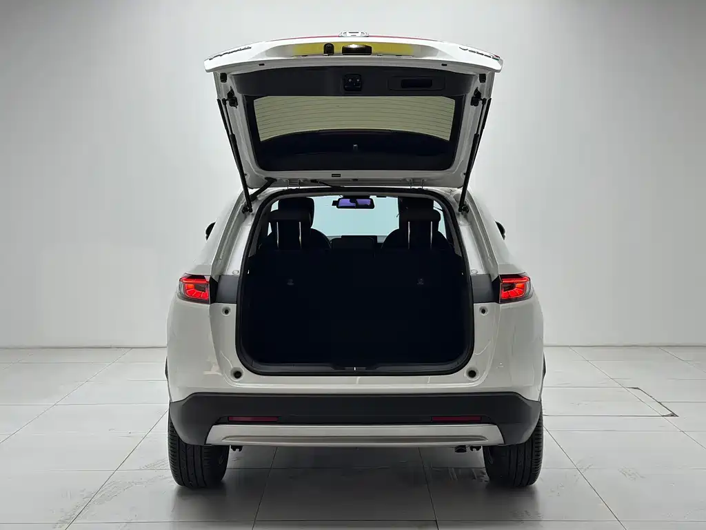 Binzhi 2023 1.5L CVT technology version купить на сайте DeffCars