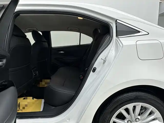 Asia Lion 2021 2.0L Advanced Edition купить на сайте DeffCars
