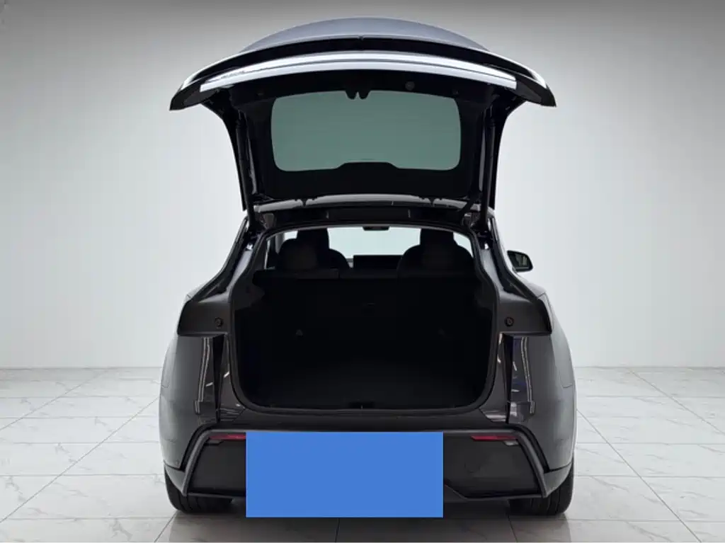 Model Y 2025 rear-wheel drive version купить на сайте DeffCars