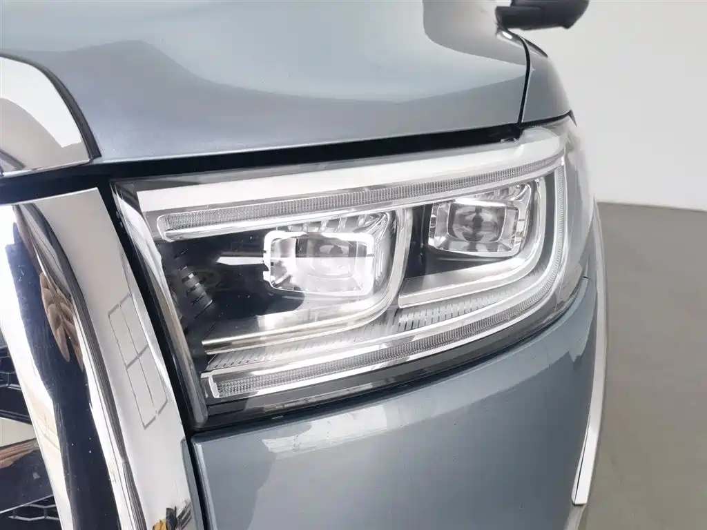 Cannon 2021 2.0T passenger global version automatic gasoline four-wheel drive exclusive standard box GW4C20B купить на сайте DeffCars