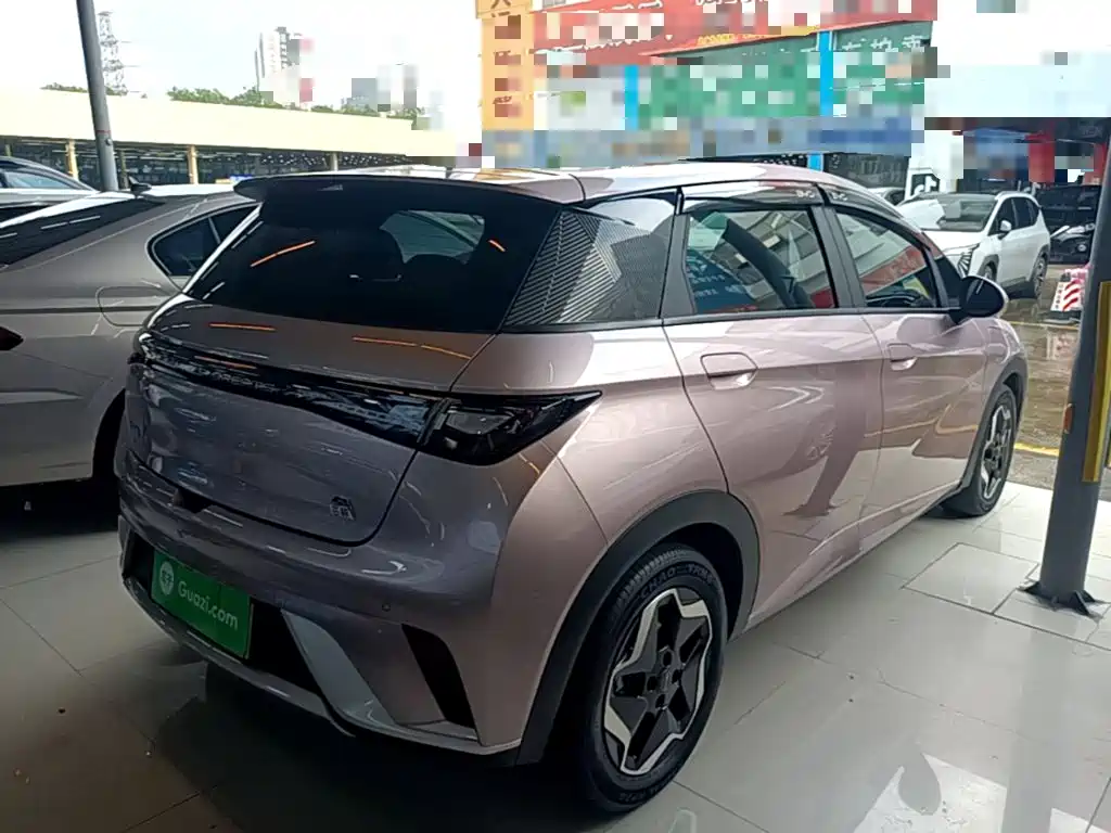 Dolphin 2021 405km fashion version купить на сайте DeffCars