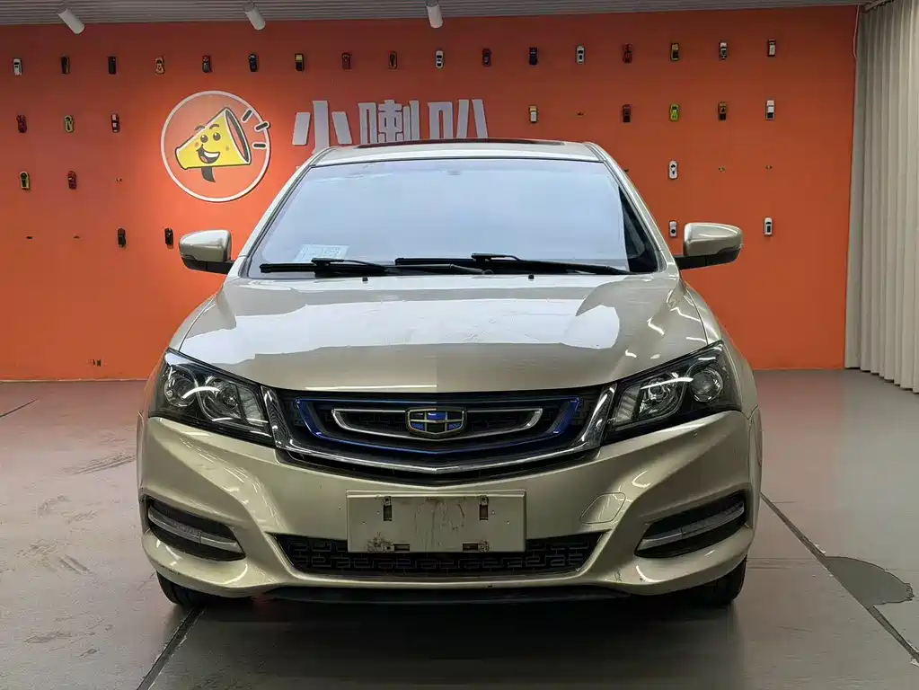 Emgrand New Energy 2017 EV300 Elite купить на сайте DeffCars