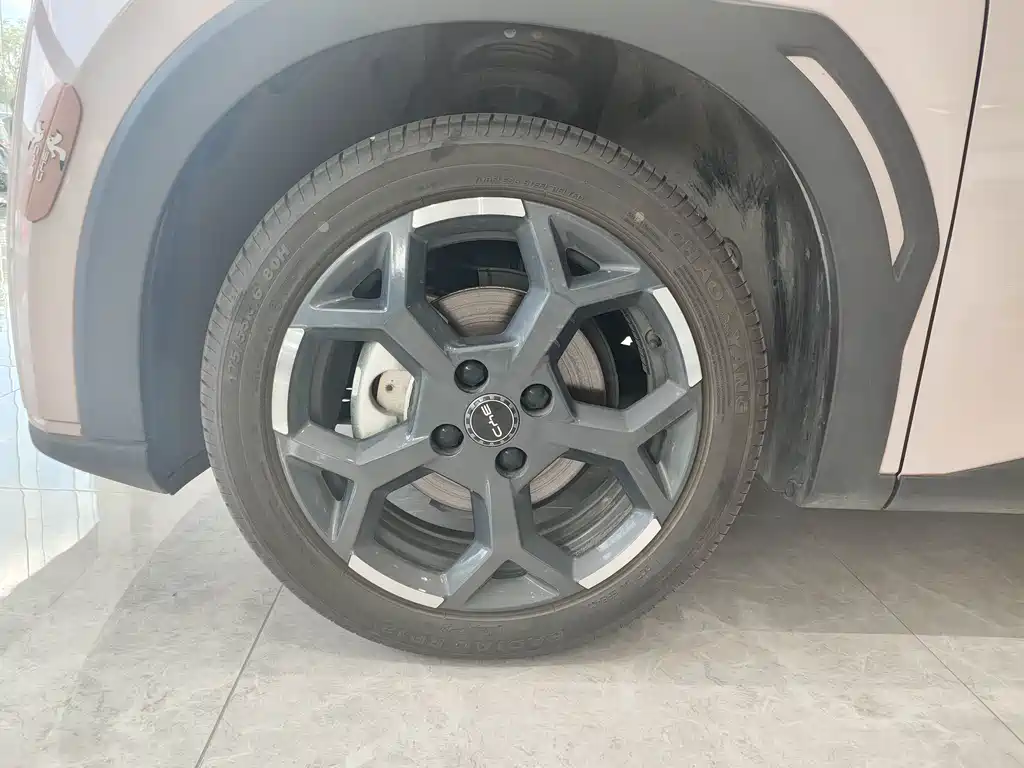 Seagull 2025 model 305km free version купить на сайте DeffCars