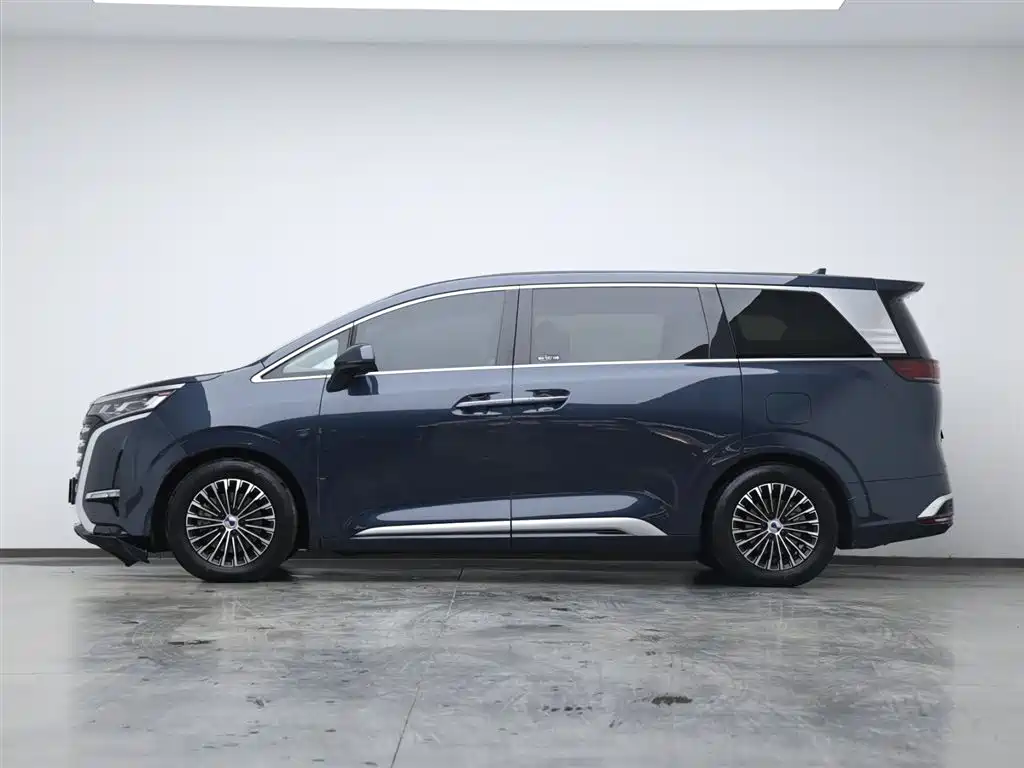Denza D9 2022 DM-i 1040 Premium Type купить на сайте DeffCars