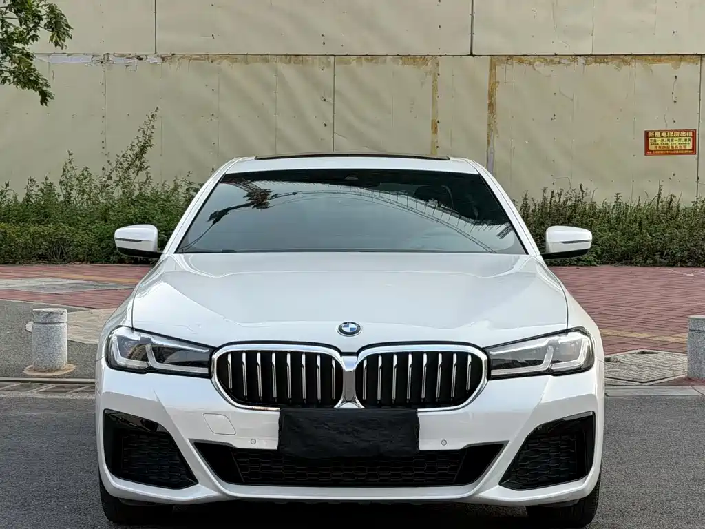 BMW 5 Series 2021 530Li Leading M Sports Package купить на сайте DeffCars