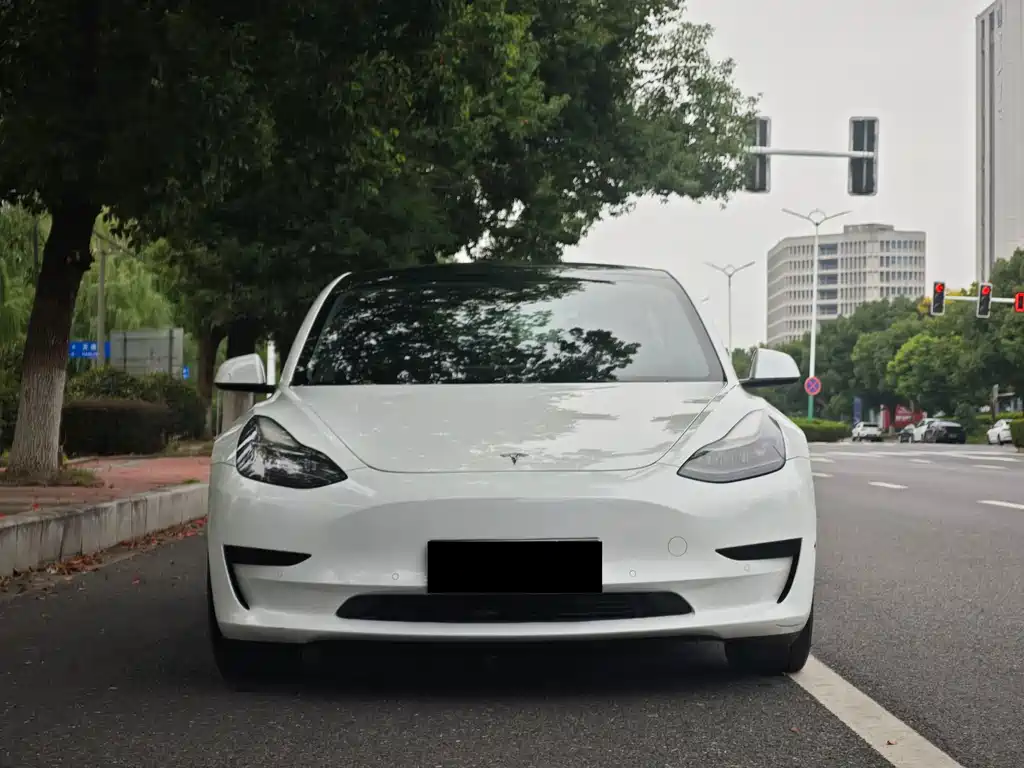 Model 3 2021 standard range rear drive upgraded version 3D6 купить на сайте DeffCars