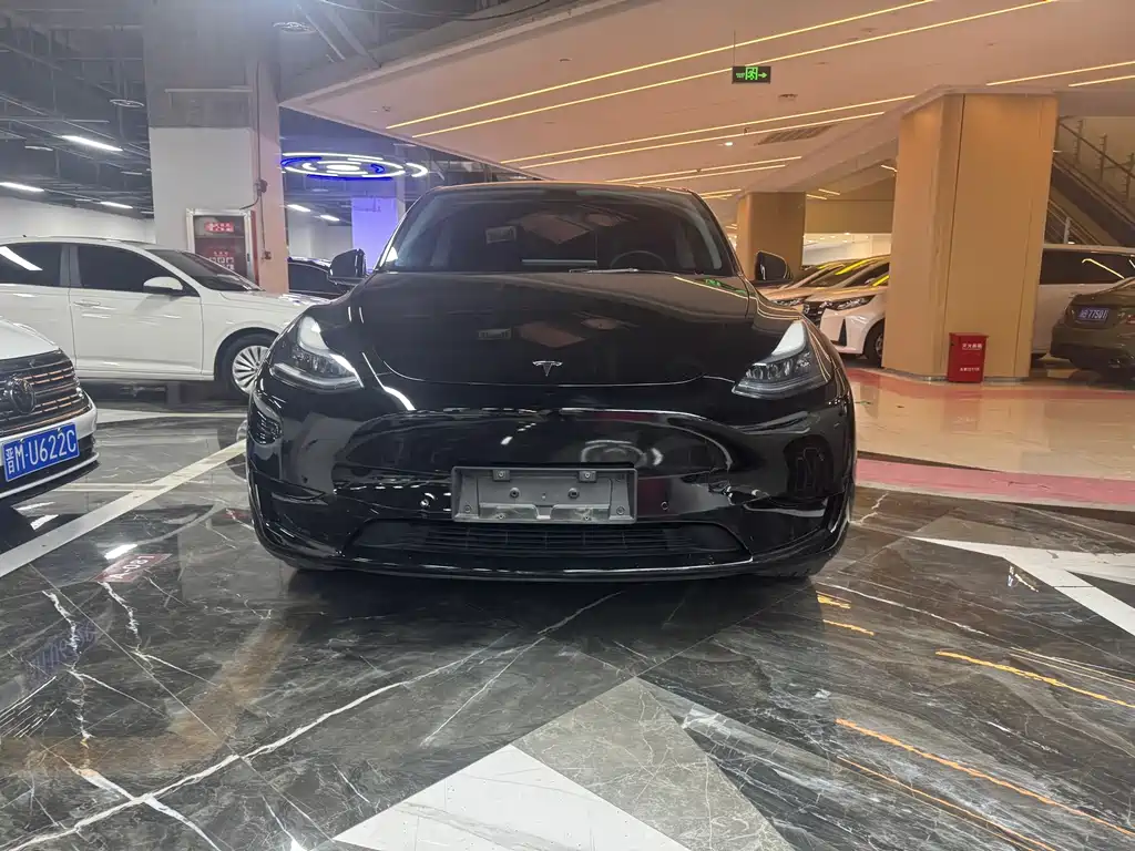 Model Y 2023 rear-wheel drive version купить на сайте DeffCars