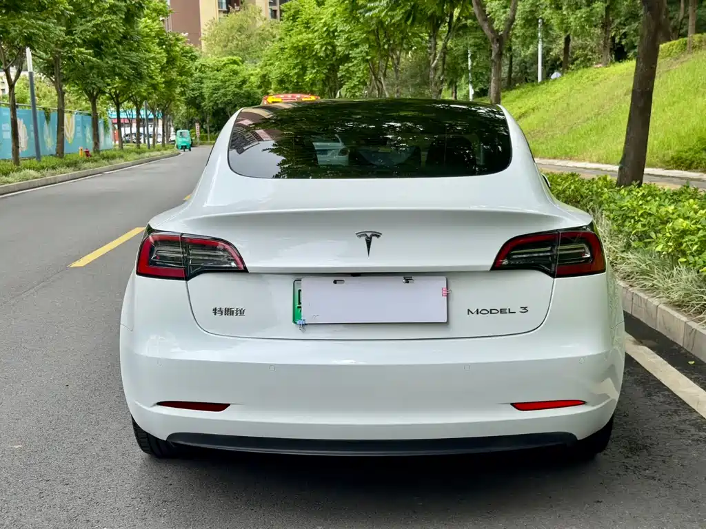 Model 3 2022 rear-wheel drive version купить на сайте DeffCars