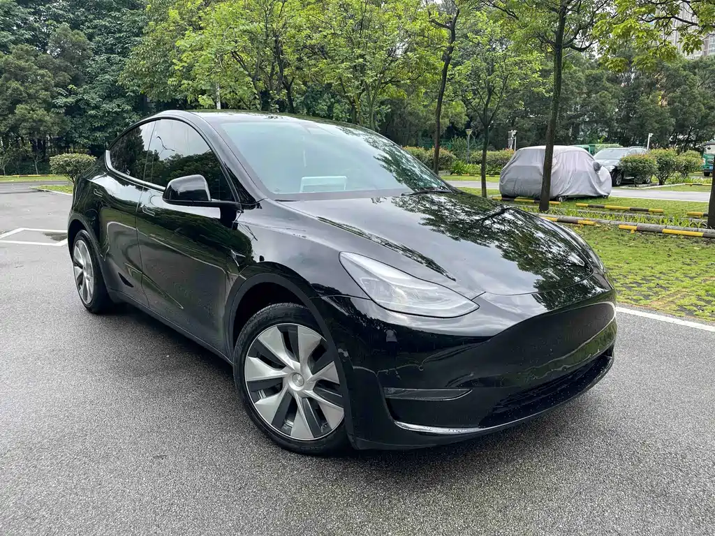 Model Y 2022 long-range all-wheel drive version купить на сайте DeffCars