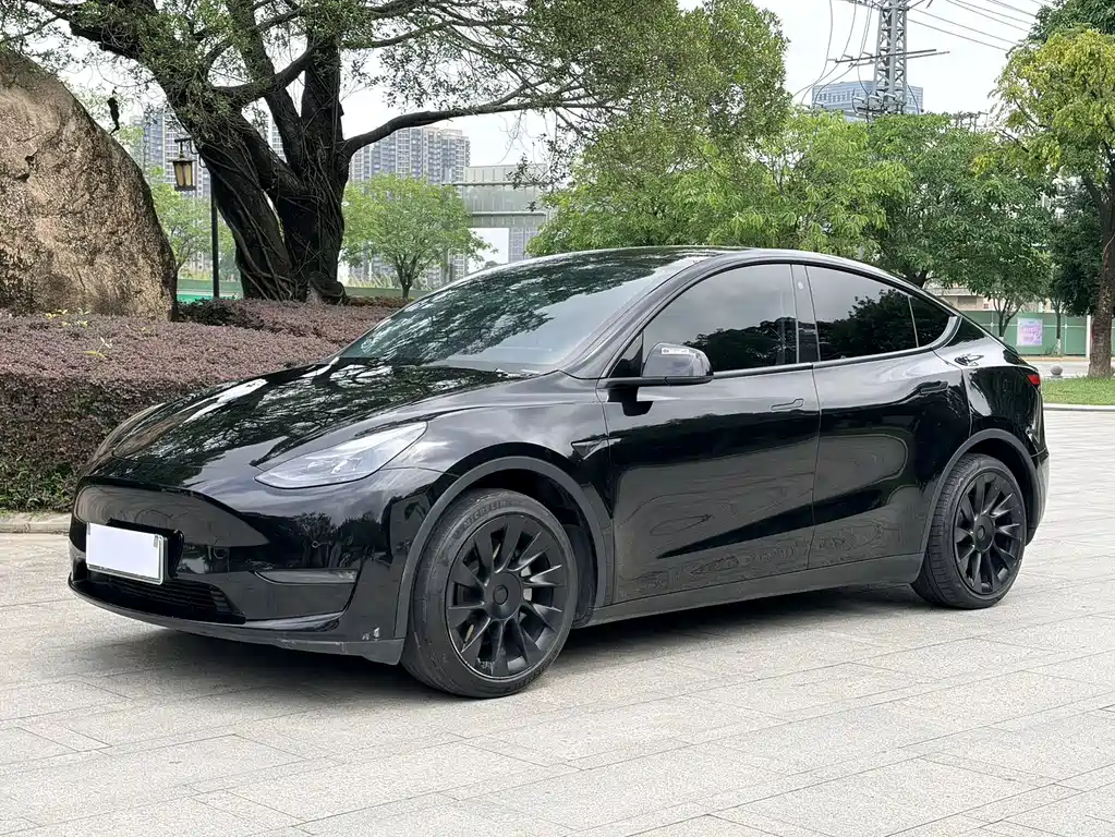 Model Y 2021 standard range rear-wheel drive version купить на сайте DeffCars