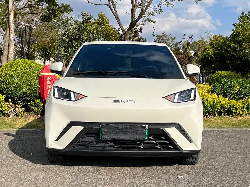 Seagull 2025 model 305km free version купить на сайте DeffCars