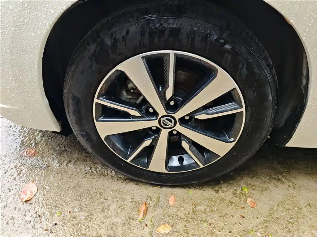 Bluebird 2019 1.6L manual cool version National VI купить на сайте DeffCars