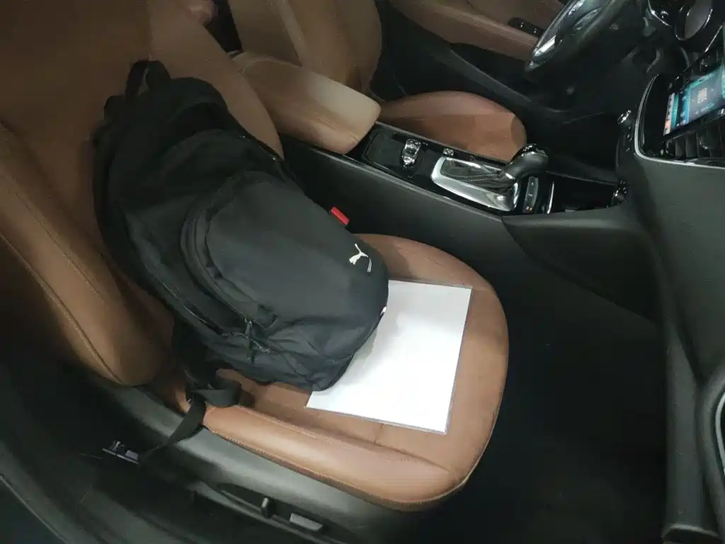 Regal 2019 20T Elite National VI купить на сайте DeffCars