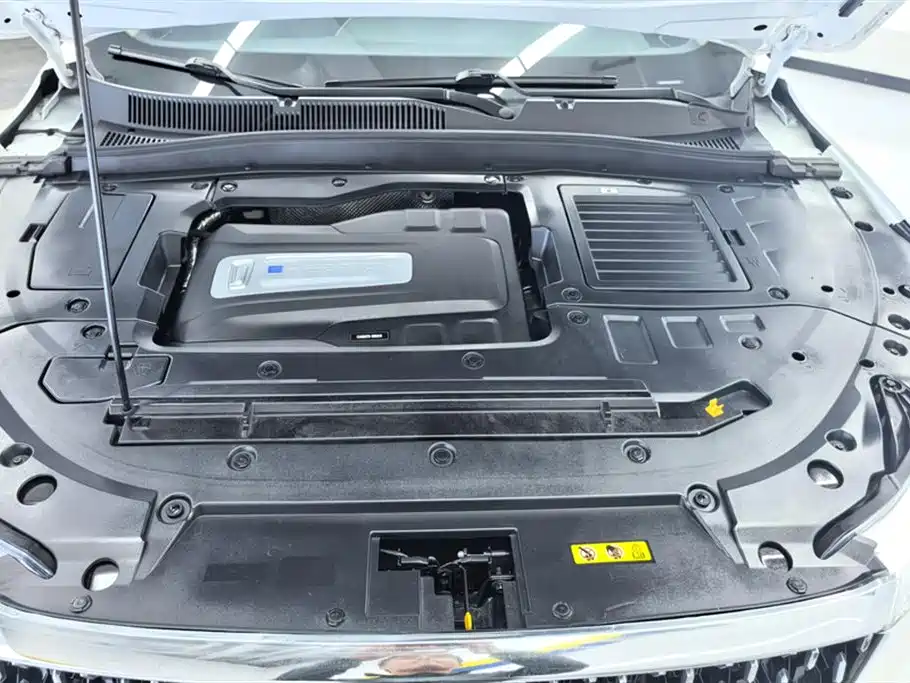 Pentium T77 2020 PRO 280 TID Automatic Exclusive Type купить на сайте DeffCars