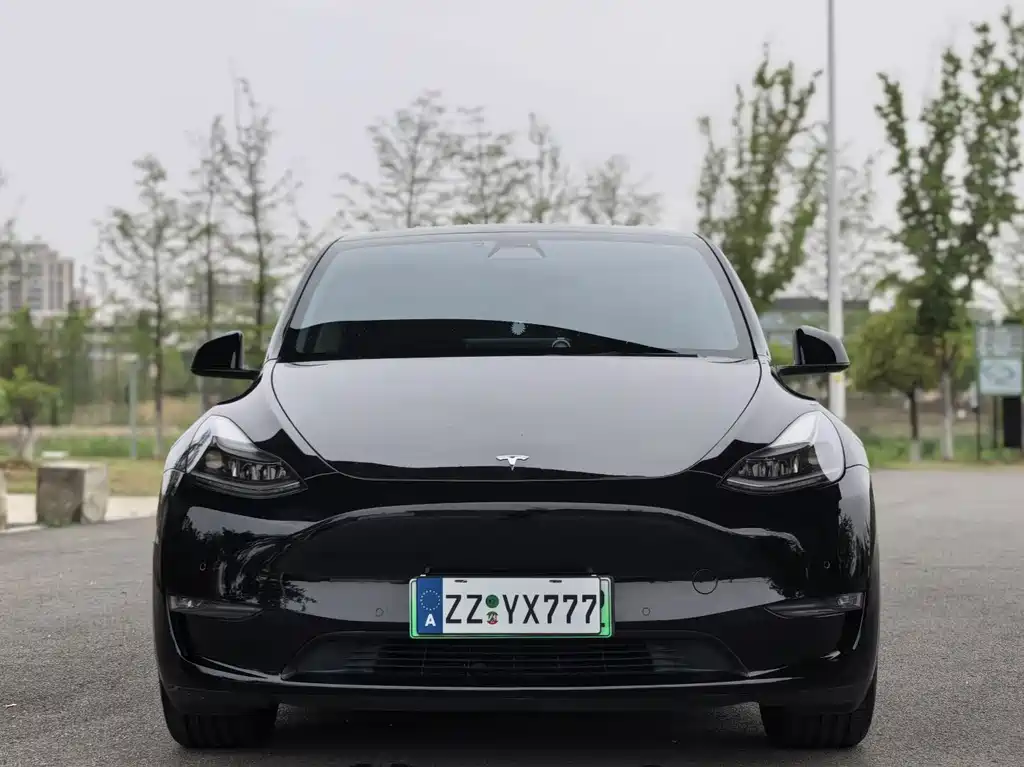 Model Y 2021 standard range rear-wheel drive version купить на сайте DeffCars