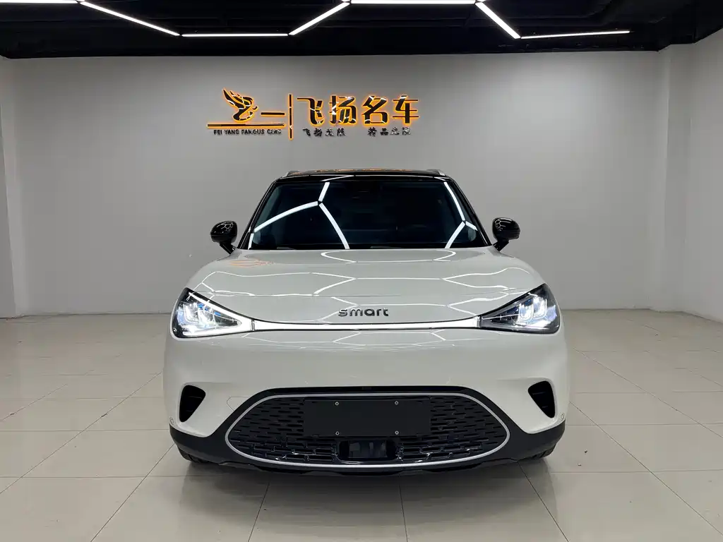 smart elf #1 2024 smart luxury version купить на сайте DeffCars
