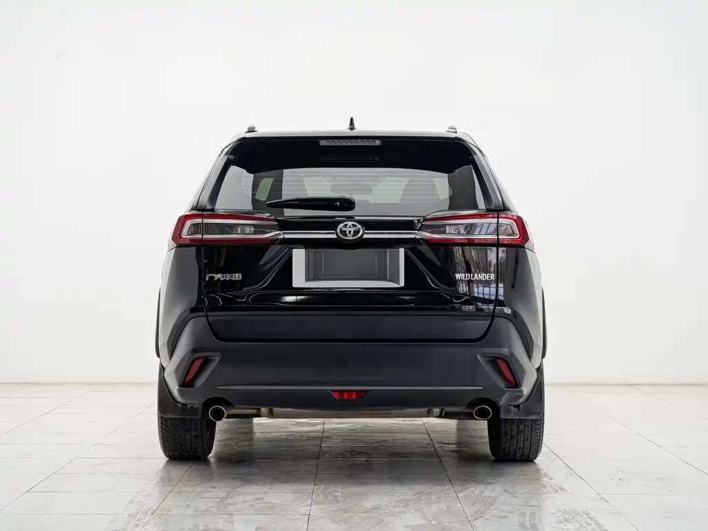 Wilanda 2023 2.0L CVT two-wheel drive leading version купить на сайте DeffCars