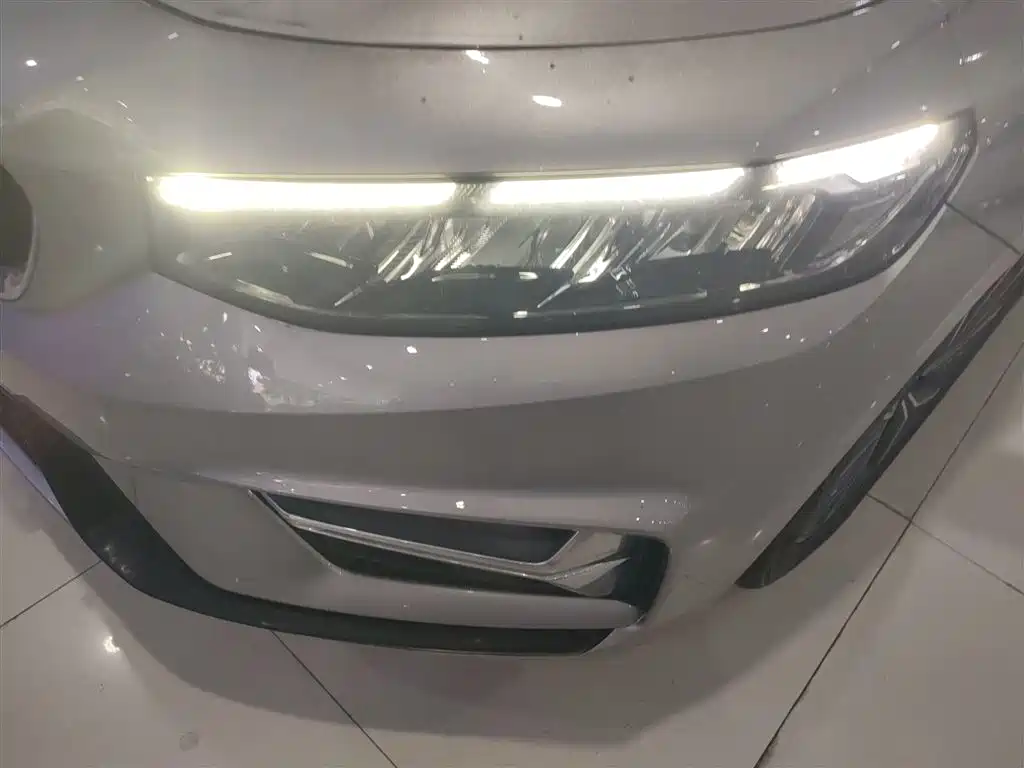 Xingrui 2023 2.0TD luxury model купить на сайте DeffCars