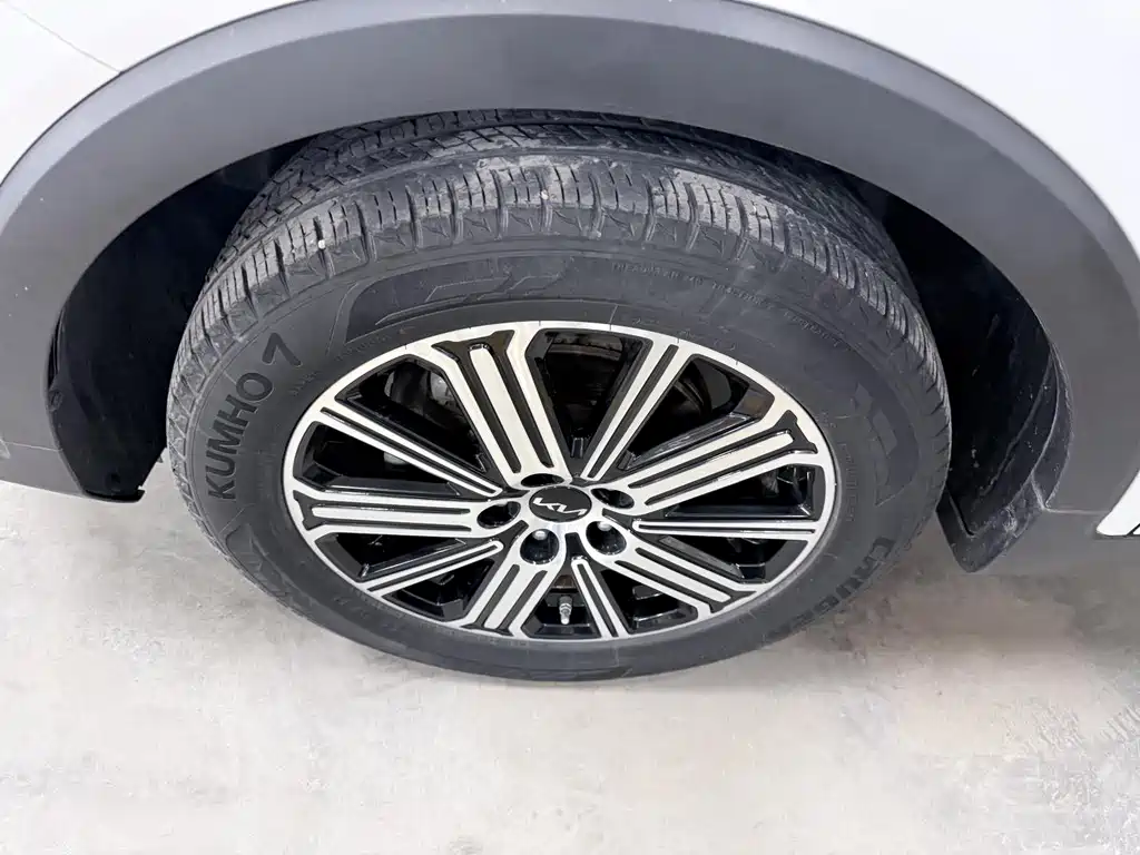 Zhipao 2021 Ace 2.0L Wonderful Edition купить на сайте DeffCars