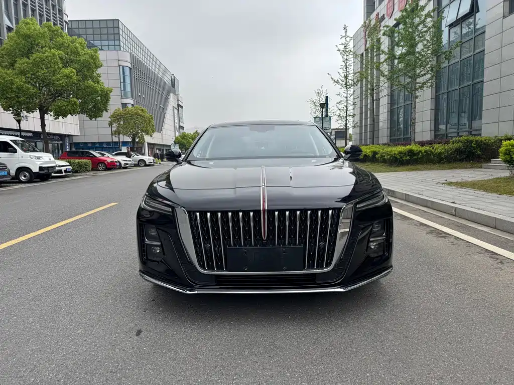 Hongqi H5 2023 1.5T DCT Zhilian Qiyun Edition купить на сайте DeffCars