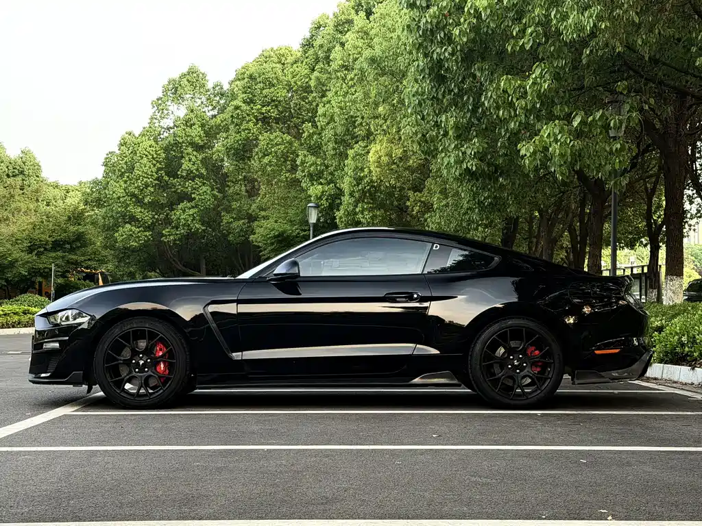 Mustang 2019 2.3L EcoBoost купить на сайте DeffCars