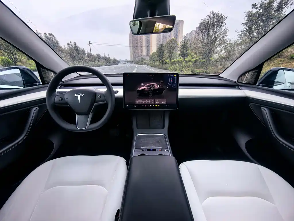 Model Y 2022 facelift rear-wheel drive version купить на сайте DeffCars