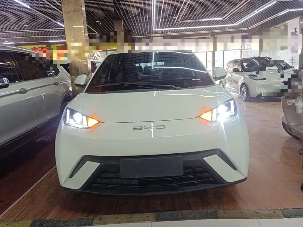 Seagull 2023 Vitality Edition купить на сайте DeffCars