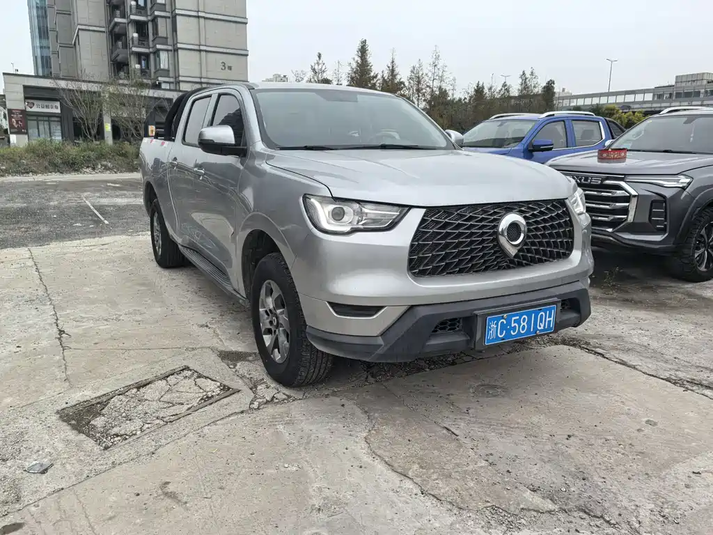 Cannon 2021 2.0T commercial version manual diesel four-wheel drive elite long box GW4D20M купить на сайте DeffCars