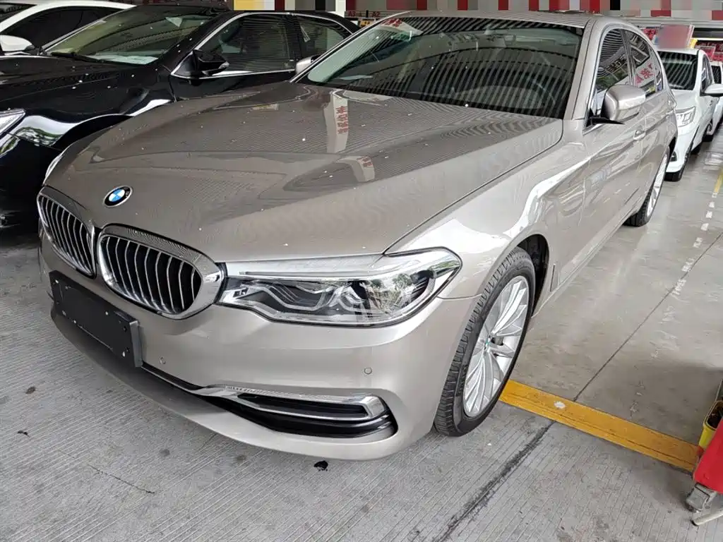 BMW 5 Series 2020 530Li Leading Luxury Package купить на сайте DeffCars