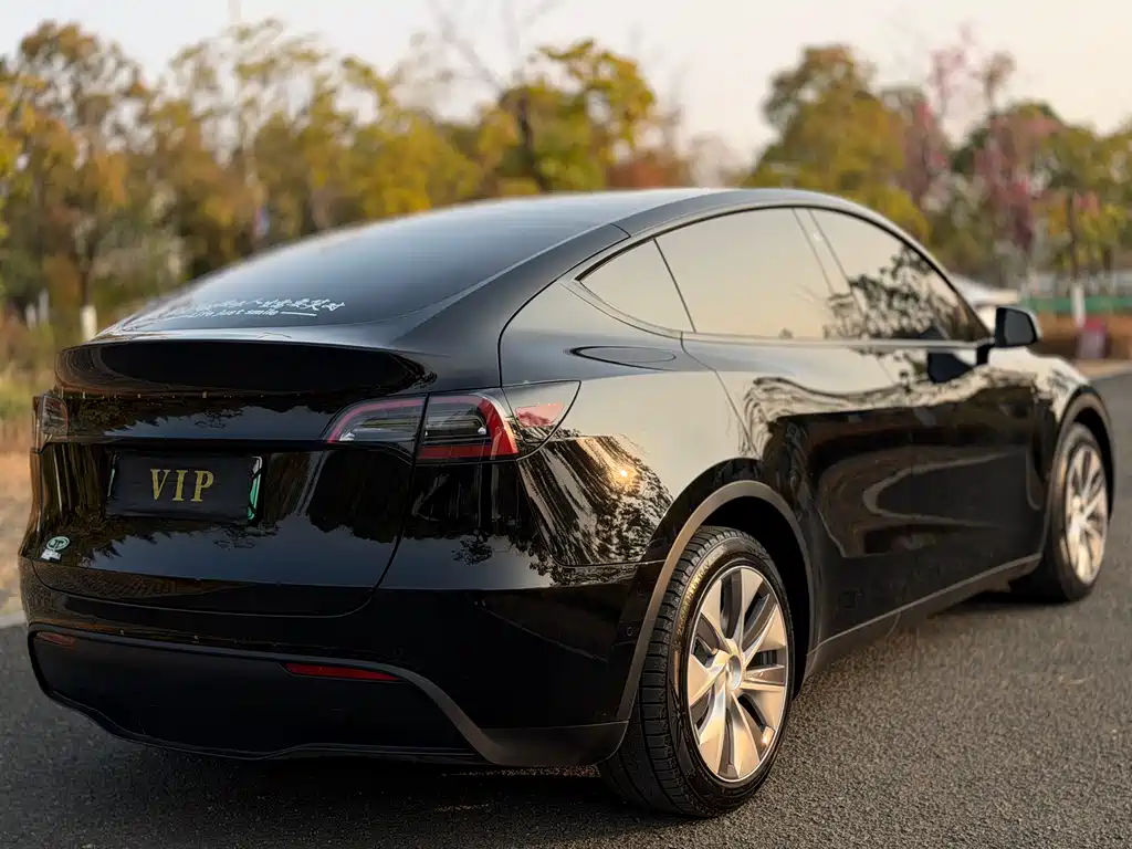Model Y 2023 rear-wheel drive version купить на сайте DeffCars