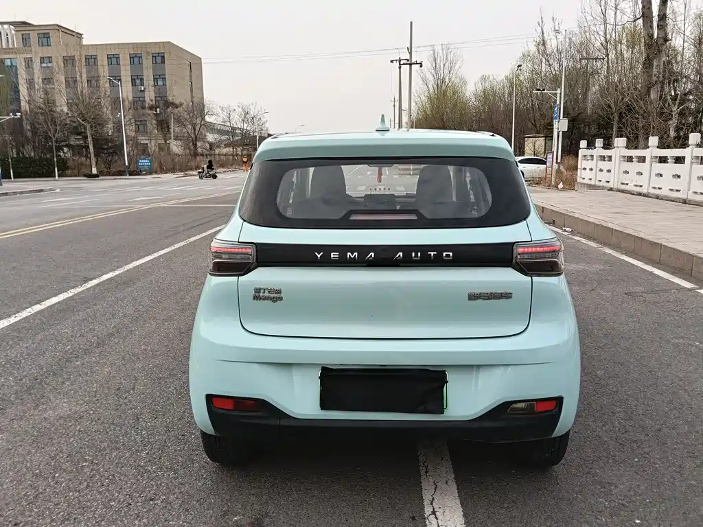 Reading Mango 2021 Qumang Yuedong Edition 200km купить на сайте DeffCars