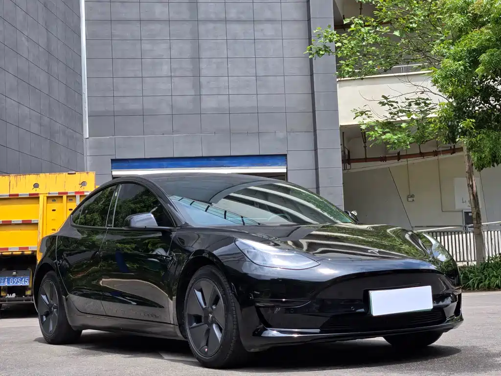 Model 3 2022 rear-wheel drive version купить на сайте DeffCars