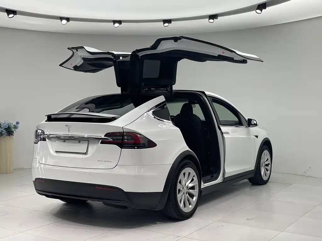 Model X 2019 Long Range Edition купить на сайте DeffCars