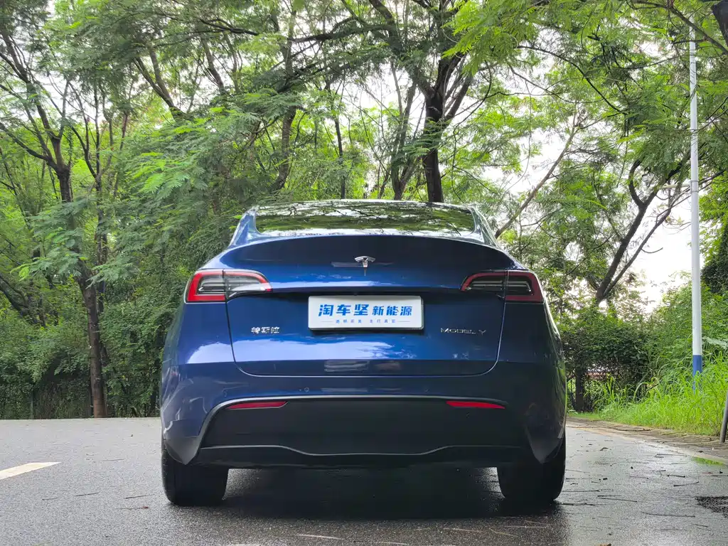 Model Y 2023 rear-wheel drive version купить на сайте DeffCars