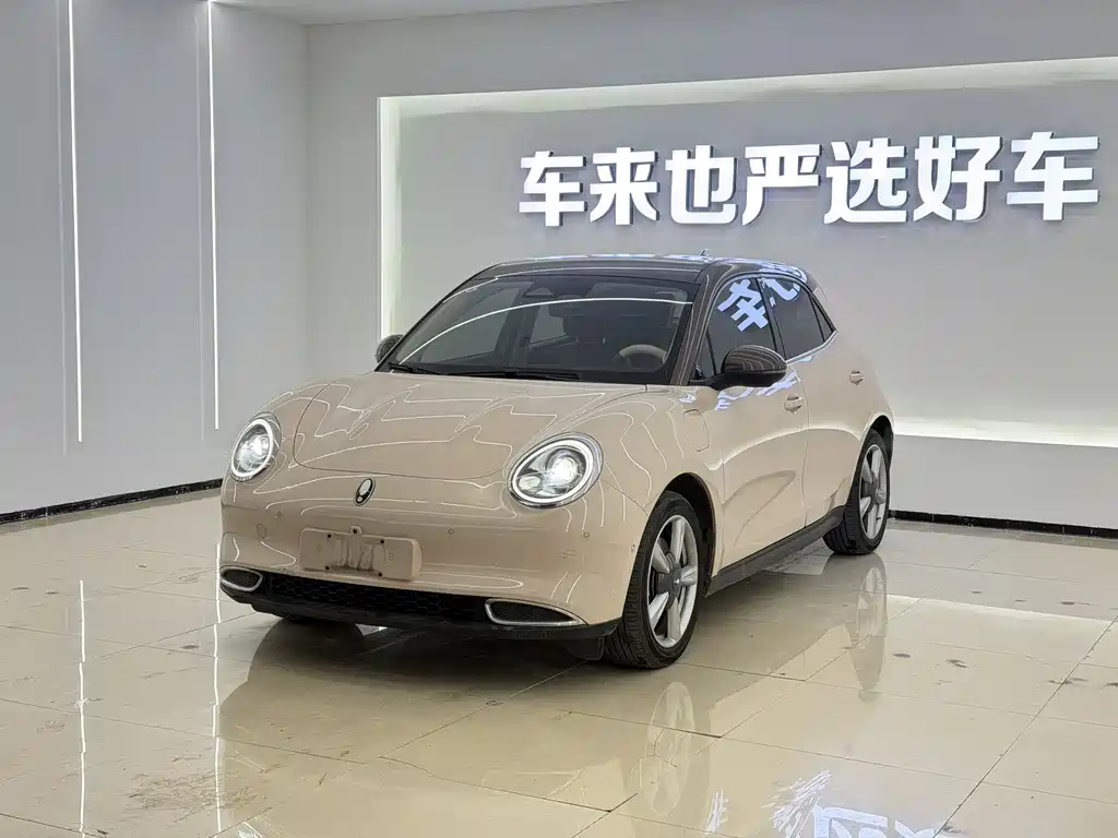 Euler Good Cat 2021 Model 400km Standard Range Athena Edition Lithium Iron Phosphate купить на сайте DeffCars