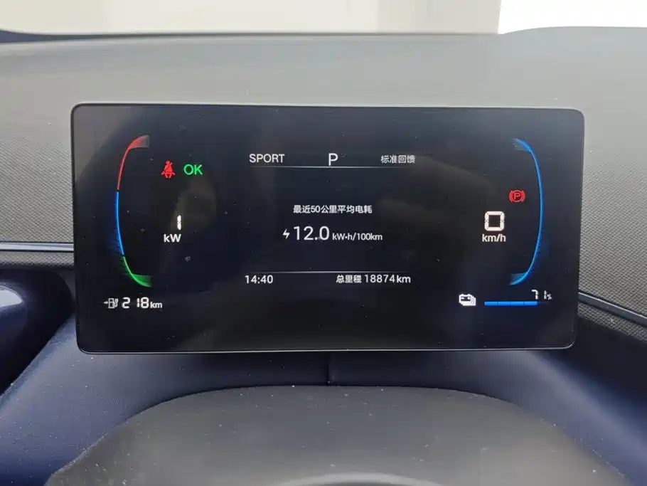 Seagull 2025 305km active version купить на сайте DeffCars