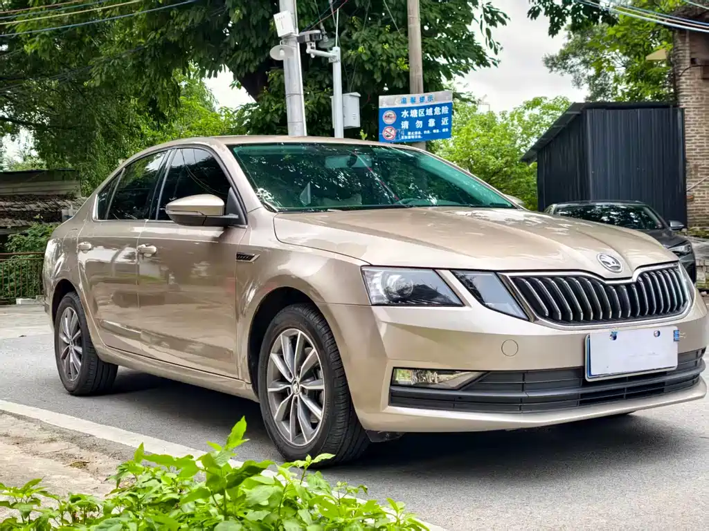 Octavia 2019 1.5L Automatic Intelligent Travel Comfort Edition National VI купить на сайте DeffCars