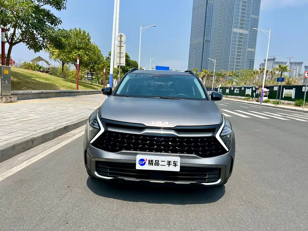 Lion Platinum expands the world 2023 2.0T two-wheel drive flagship version купить на сайте DeffCars
