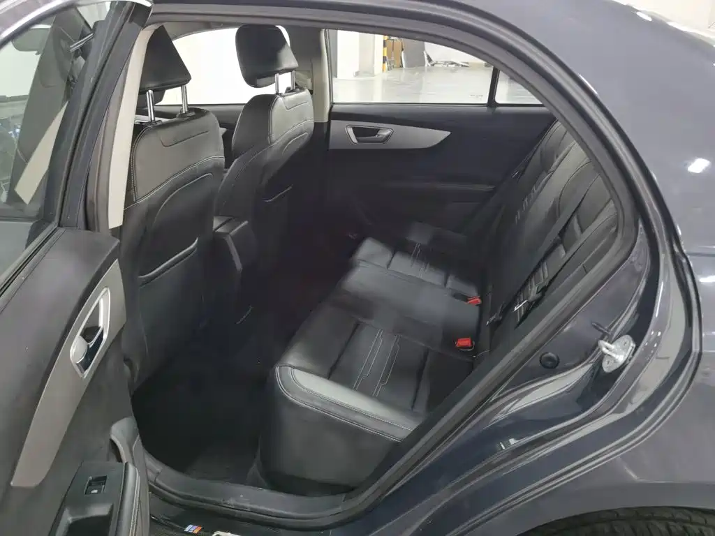 Qin 2019 1.5L automatic luxury model купить на сайте DeffCars