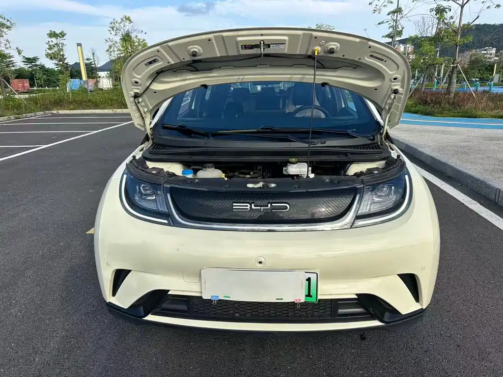 Dolphin 2023 420km Fashion Edition купить на сайте DeffCars