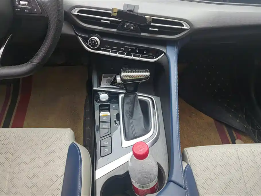 EADO 2021 PLUS Blue Whale NE 1.4T GDI DCT flagship model купить на сайте DeffCars