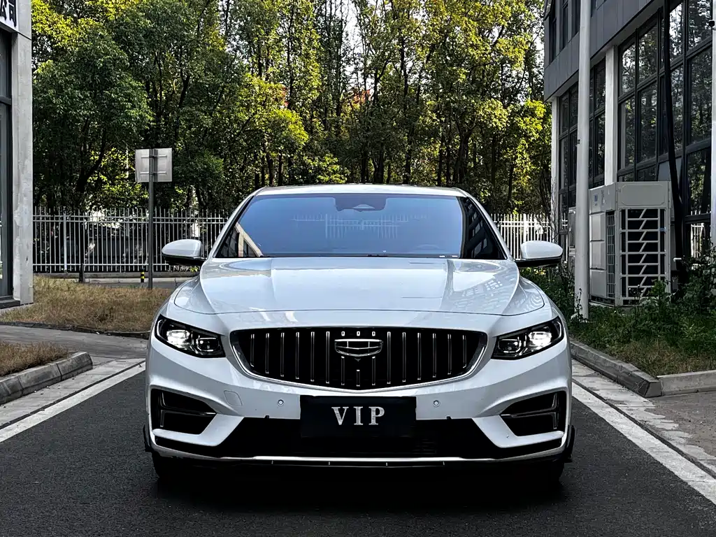 Xingrui 2023 2.0TD only comes in green version купить на сайте DeffCars