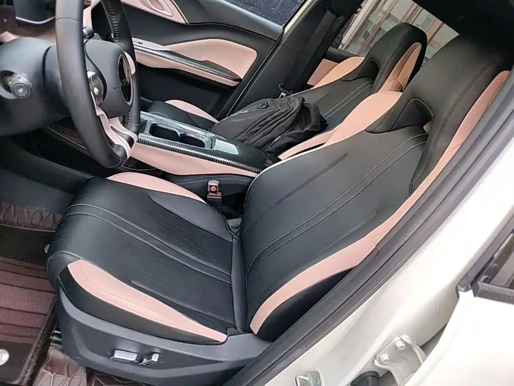 Seagull 2025 305km Free Edition купить на сайте DeffCars