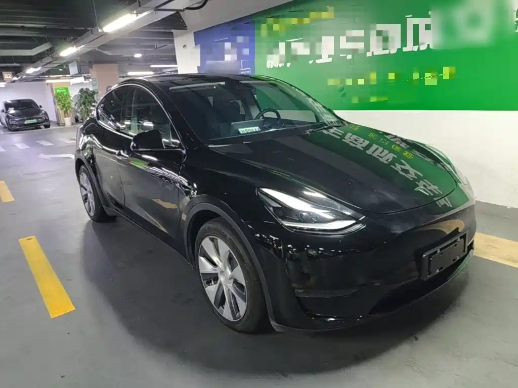 Model Y 2021 standard range rear-wheel drive version купить на сайте DeffCars