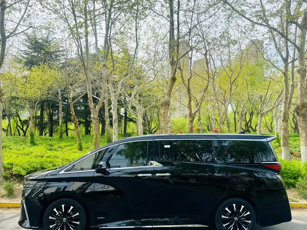 Alfa 2025 Shuangqing 2.5L Premium Gold Edition купить на сайте DeffCars