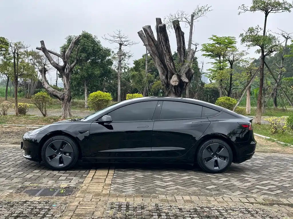 Model 3 2021 standard range rear drive upgraded version 3D6 купить на сайте DeffCars