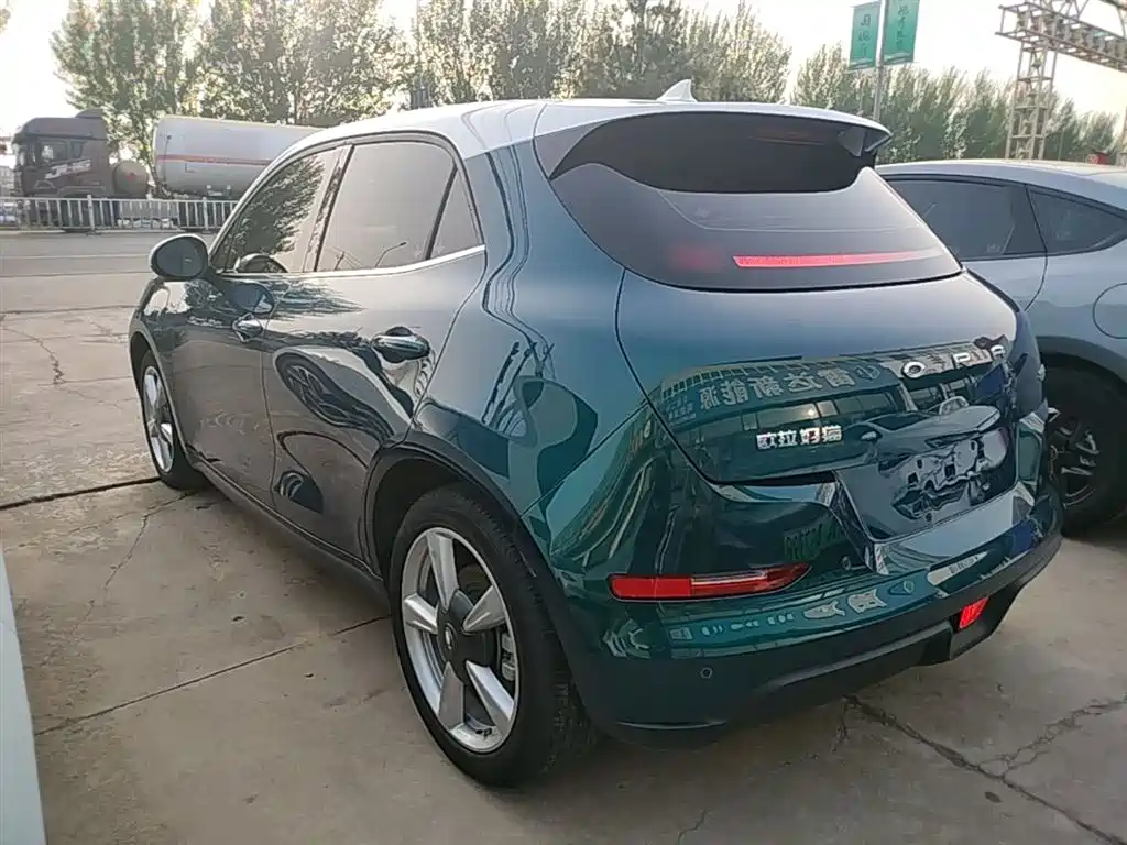 Euler Good Cat 2021 model 400km standard battery life Venus version ternary lithium купить на сайте DeffCars