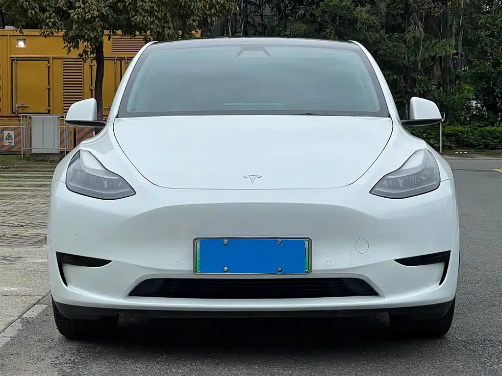 Model Y 2022 rear-wheel drive version купить на сайте DeffCars