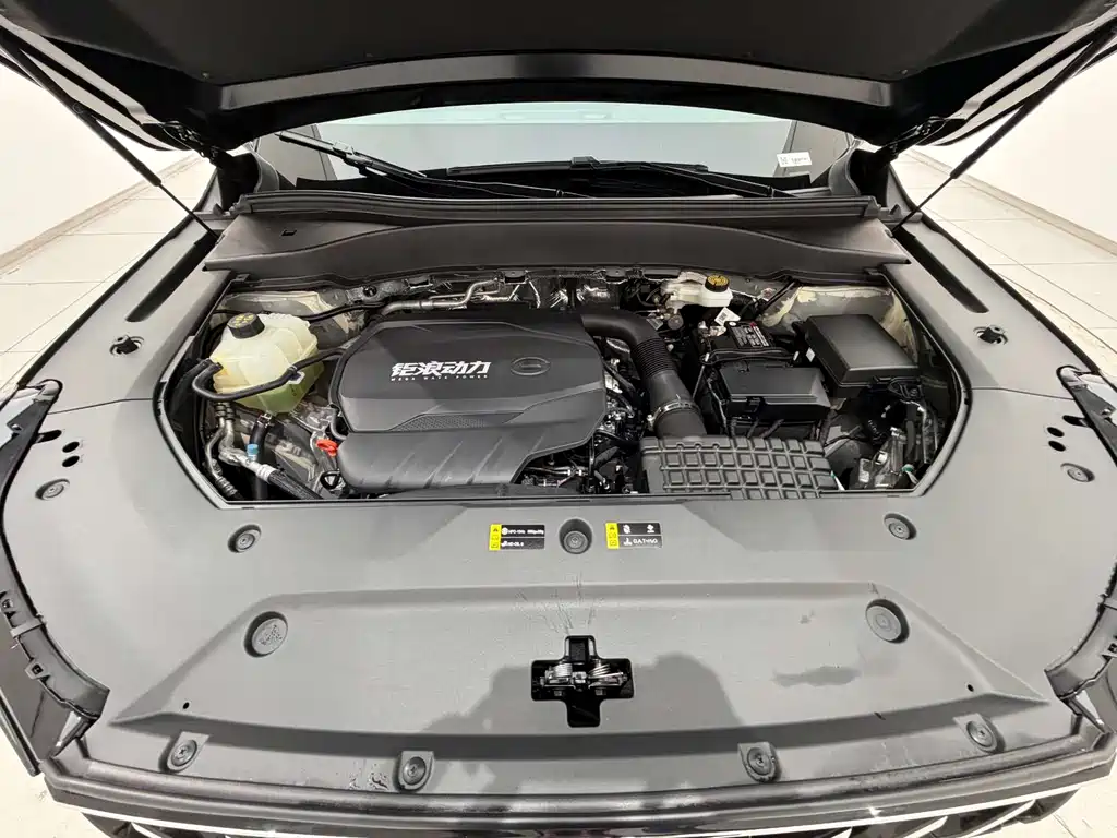 Trumpchi GS8 2025 Pilot Series 2.0TGDI two-wheel drive luxury version 5 seats купить на сайте DeffCars